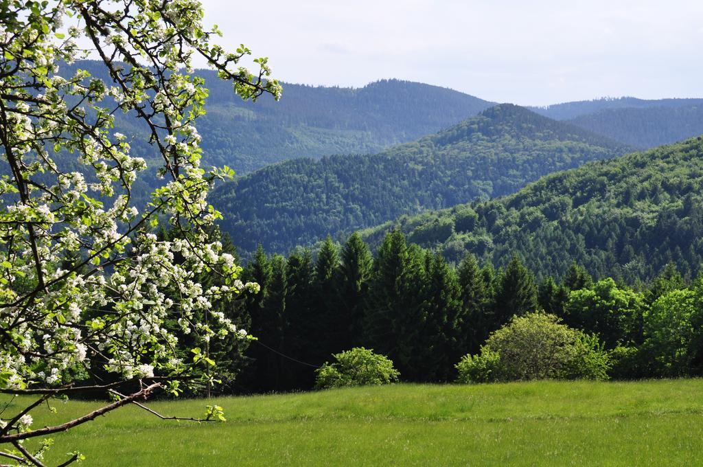 Gite Rammelstein Ribeauvillé Exteriör bild